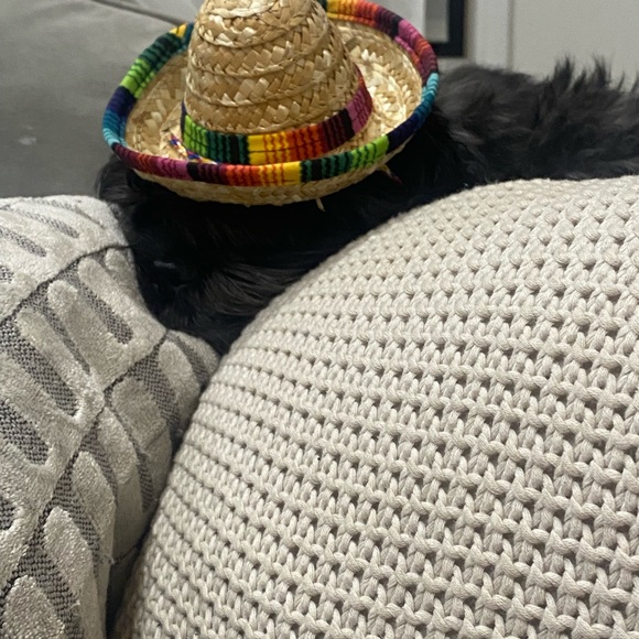 Meet your Posher, Danielle - Picture 2 of 3